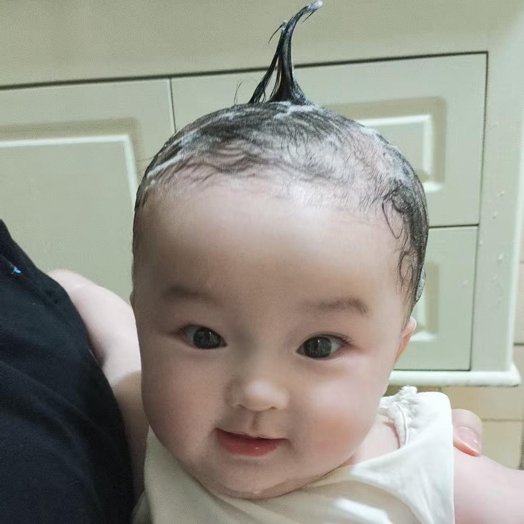 多肉小妹儿