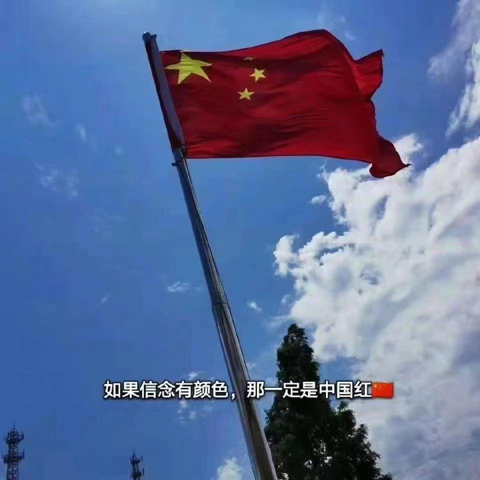 项城市11岁钓鱼天才