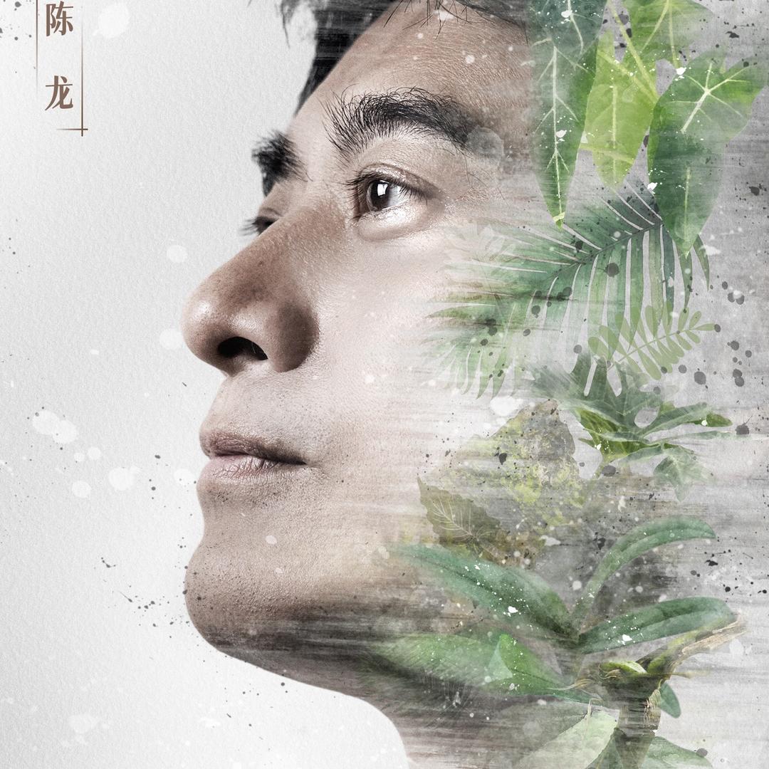 演员陈龙