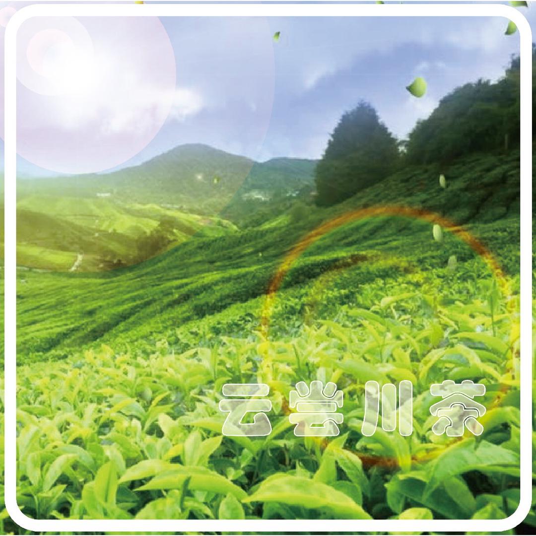 云尝山货