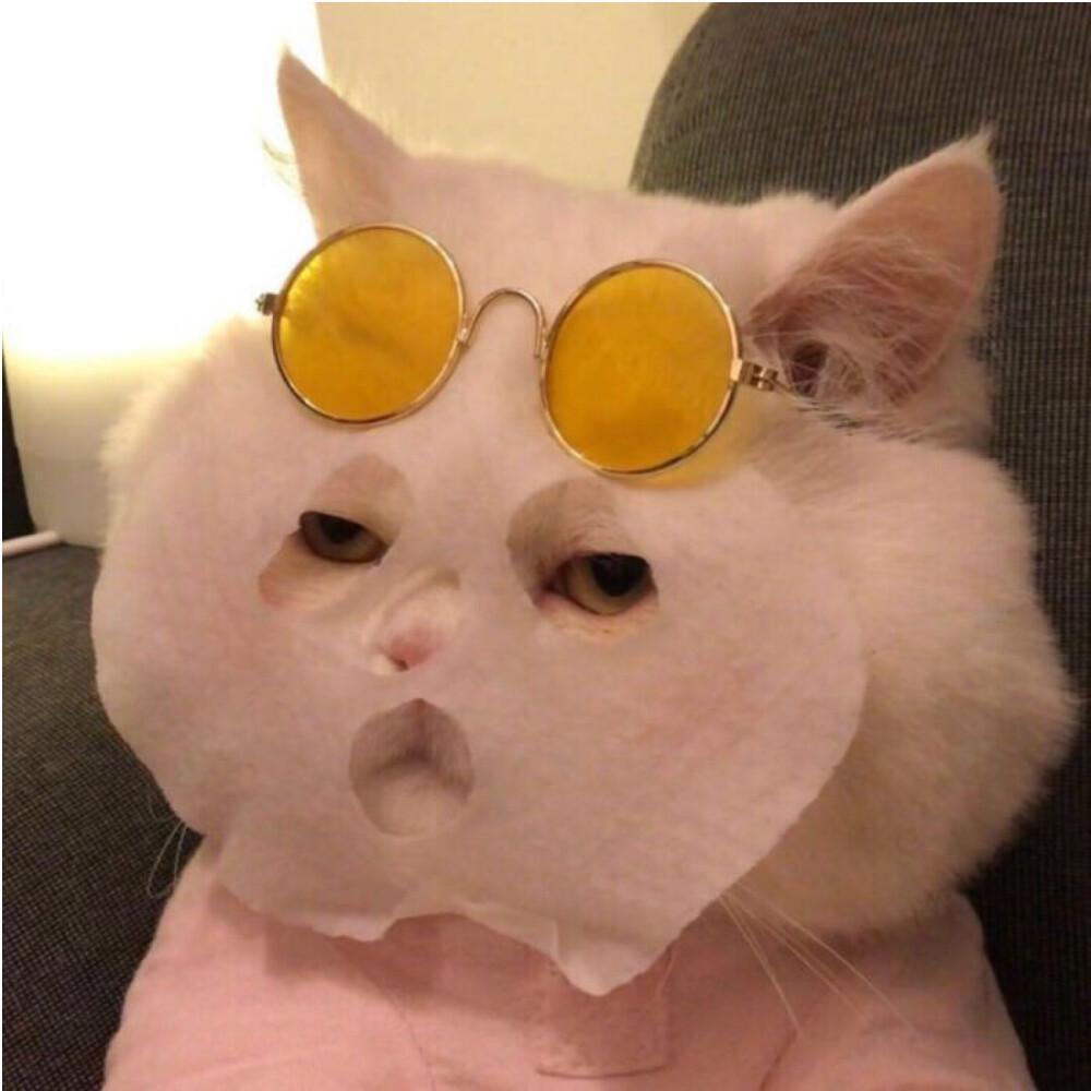 FW.
