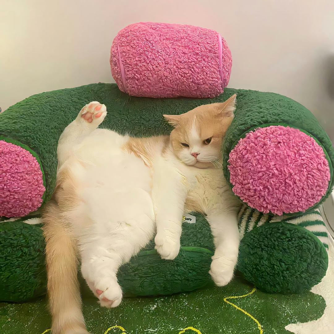 小夏不爱吃香菜