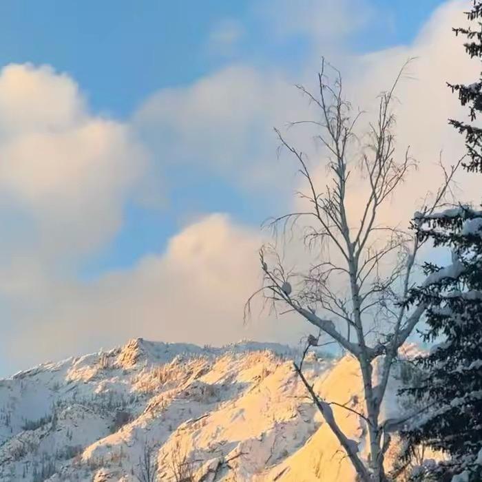 国威阿坤（🍊🩴🍈）