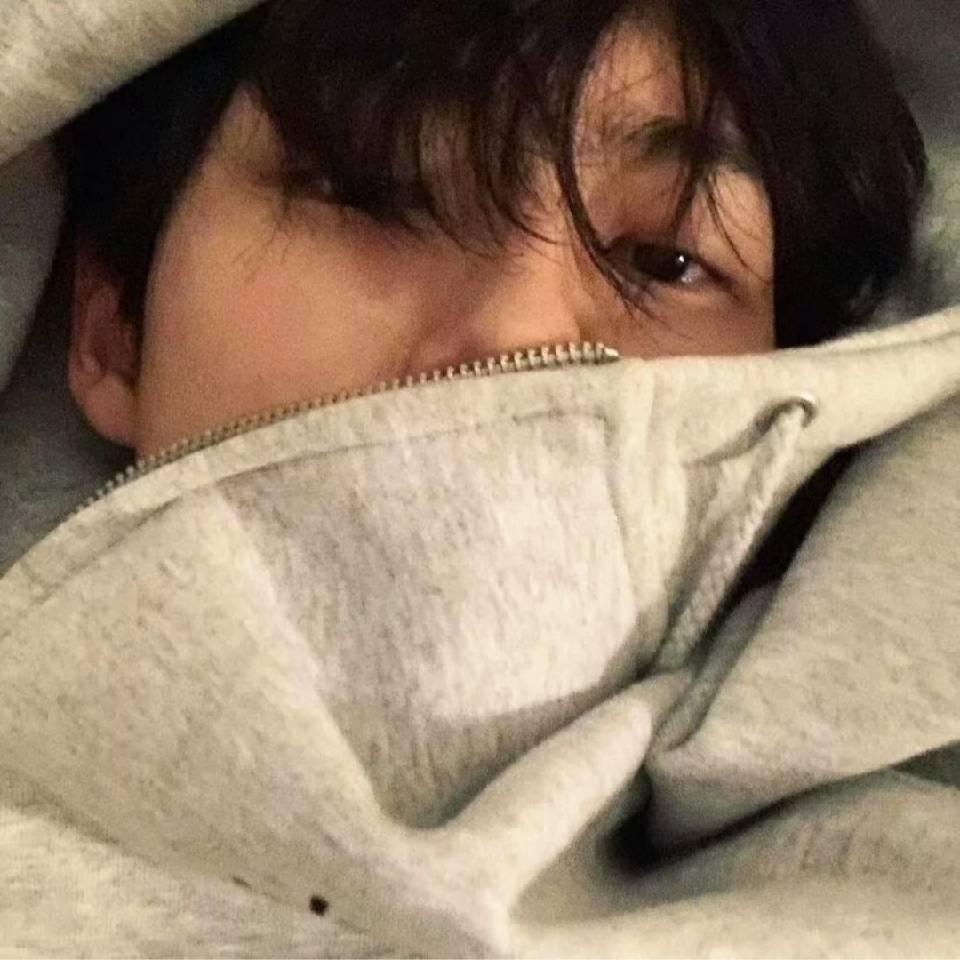 🦊尼克