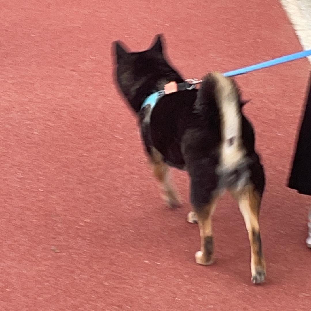 渔歌.