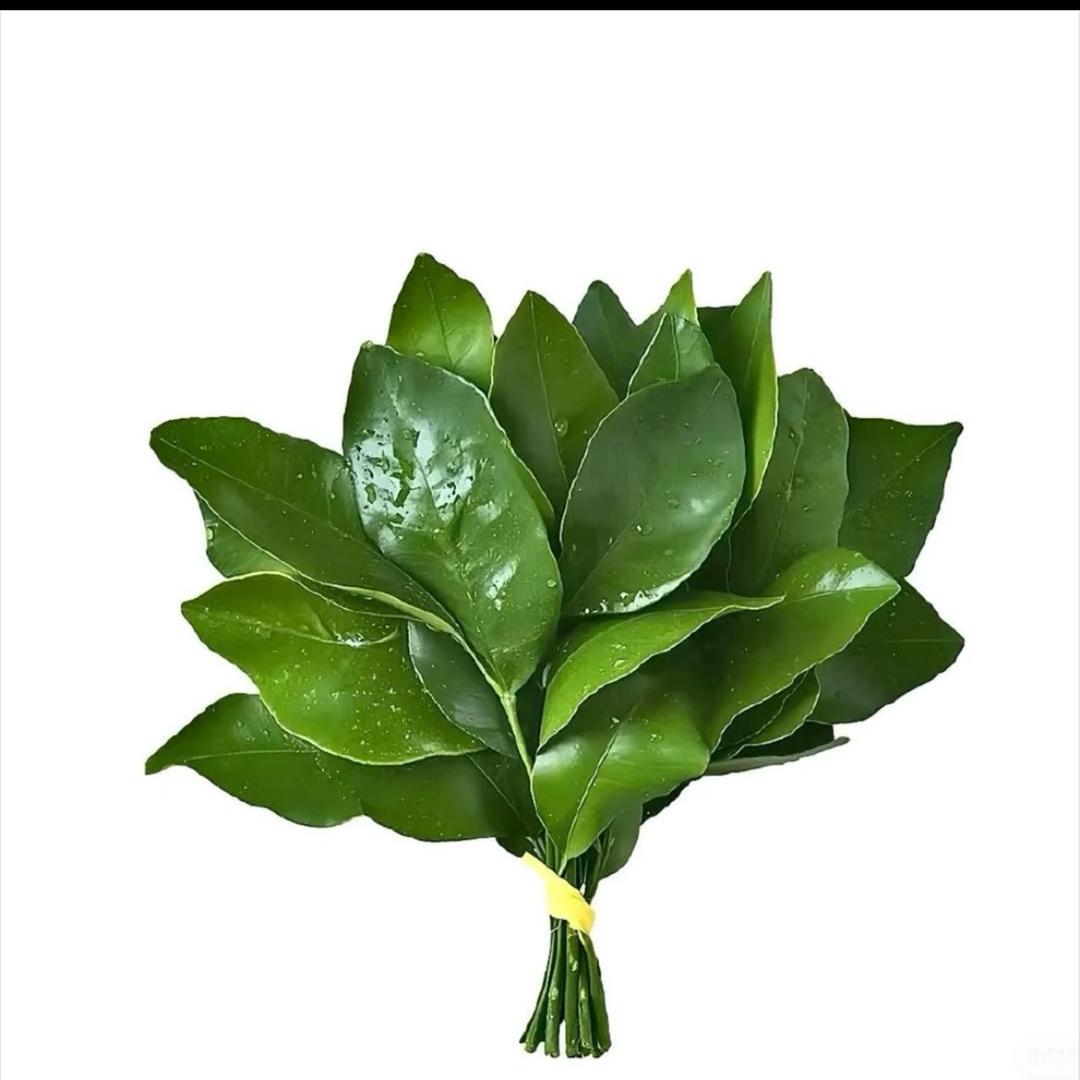 不蒸馒头争口气.