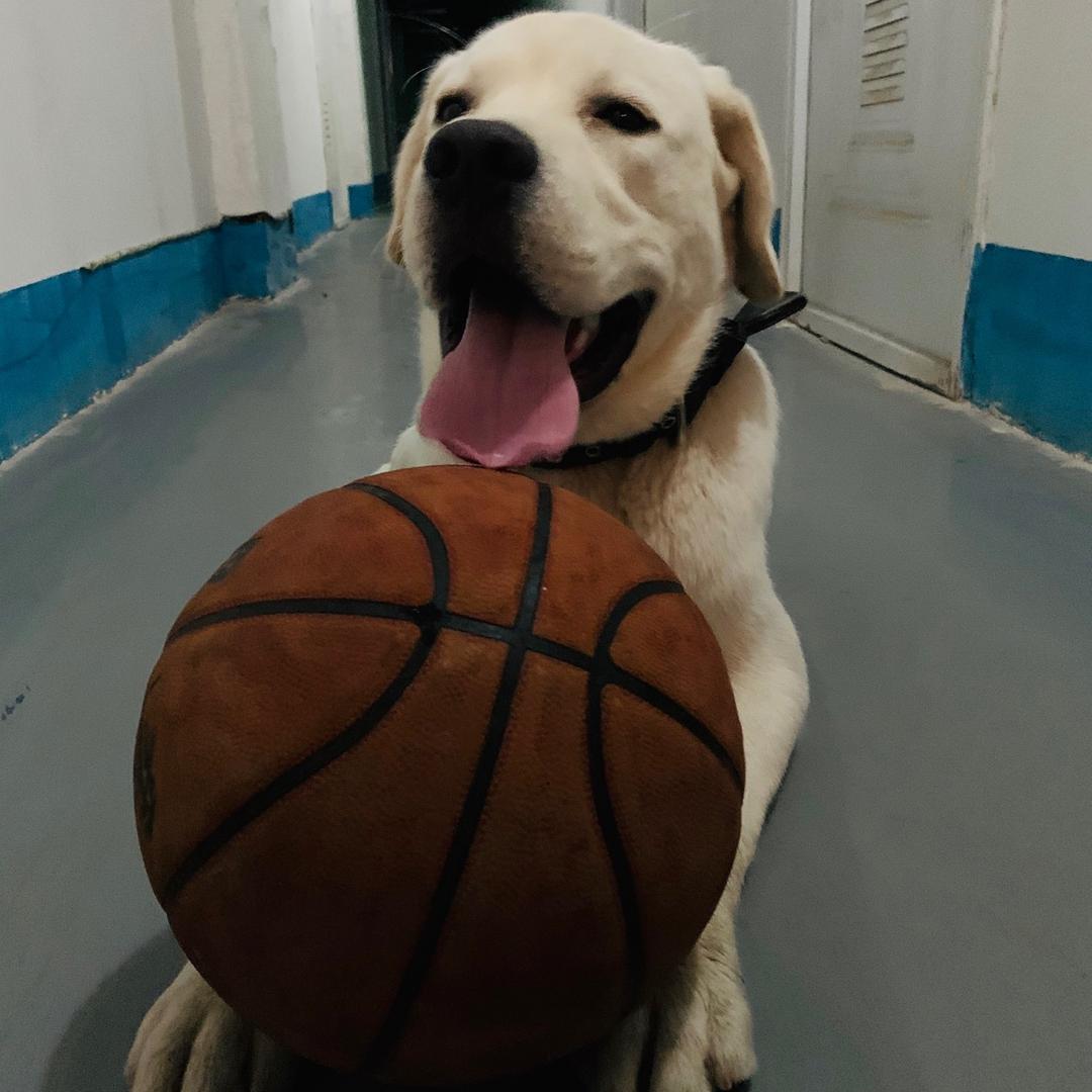 北方的面条姑娘 🥔