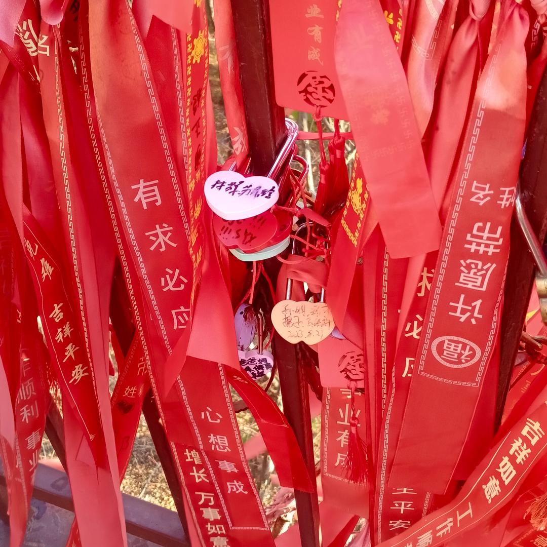 小萍萍