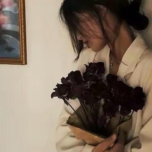 小宝·