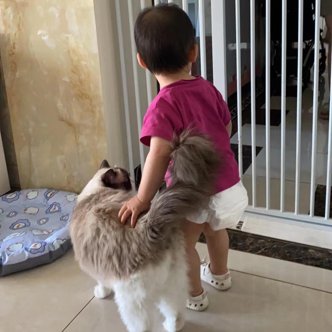 云朵有点甜(*ˉ︶ˉ*)