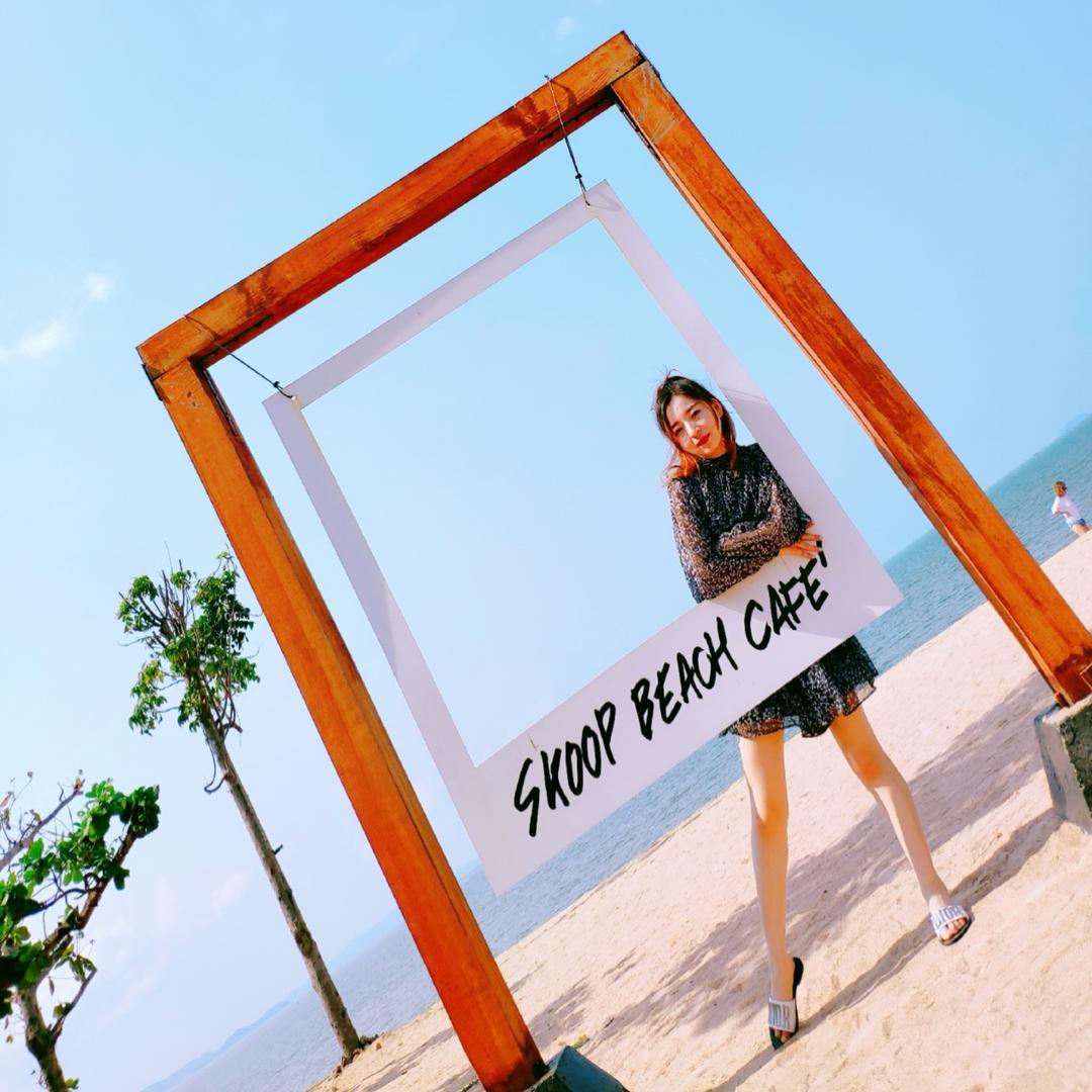 招商西安灣 白杨