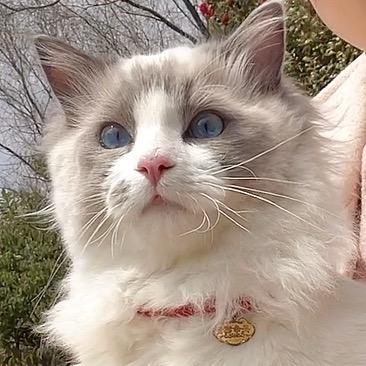 小馋猫^_^
