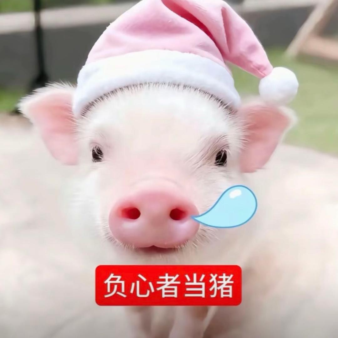 少烦我