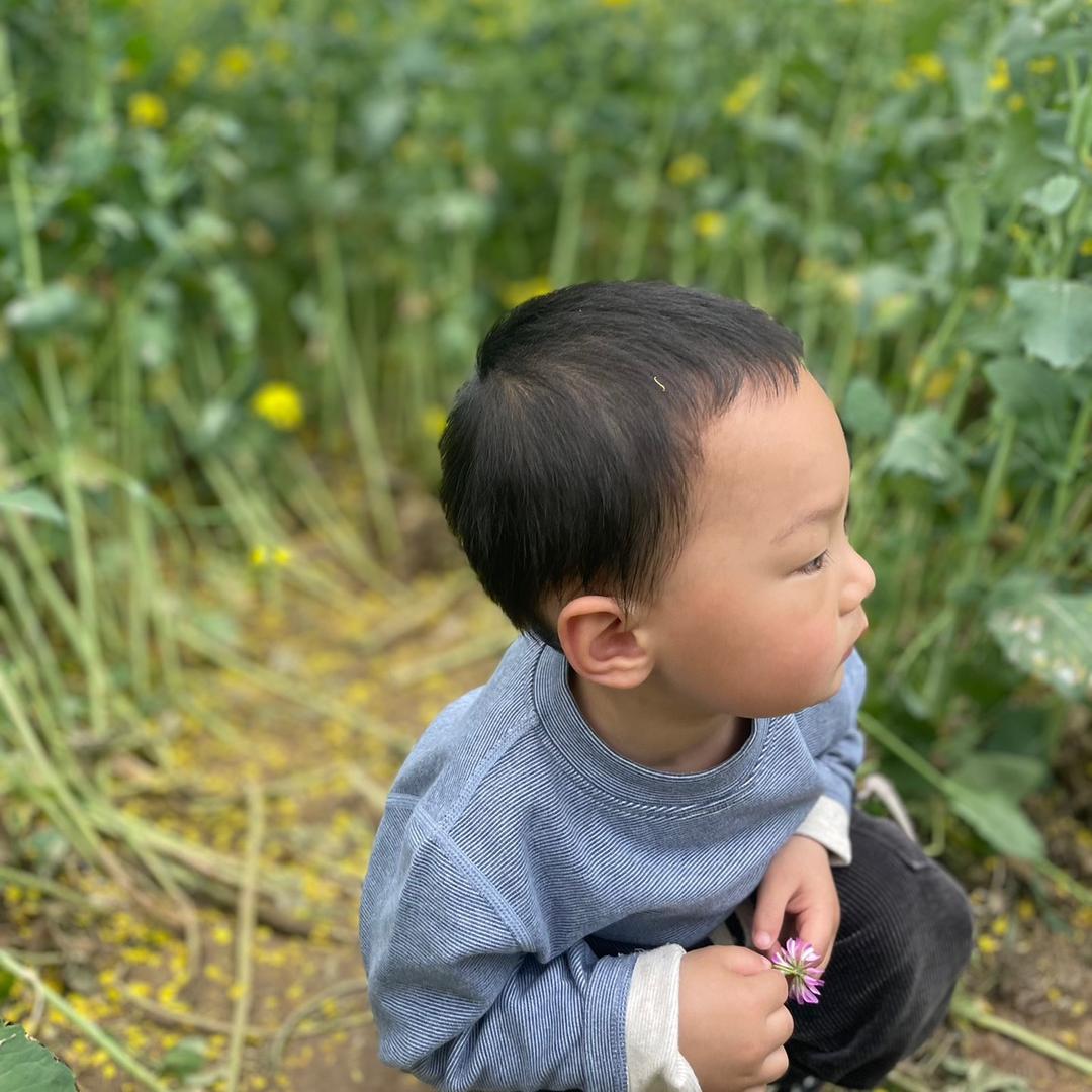 小菜菜