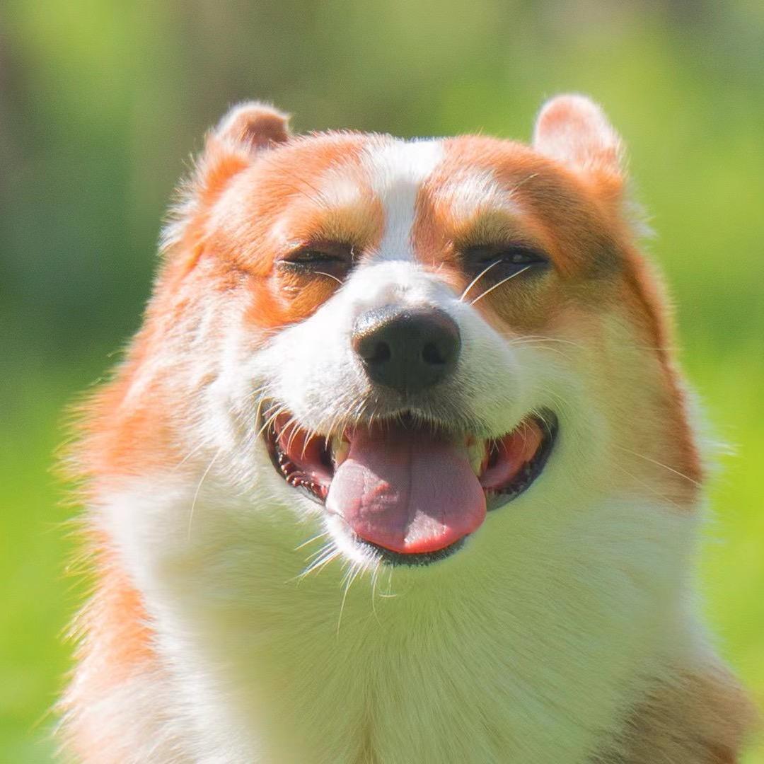 🌅会发光的小太阳🌞