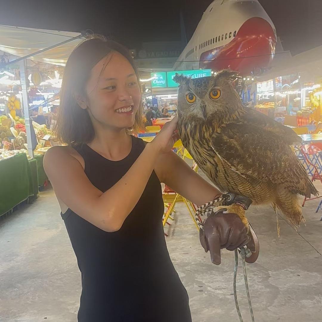 杨磊