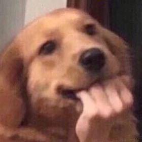 🌈攒钱买坦克300