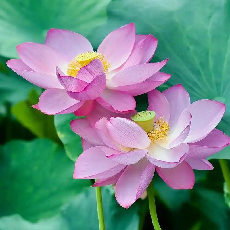 运茫高端商贸精选