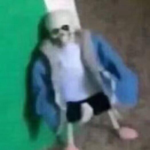 活体齿轮