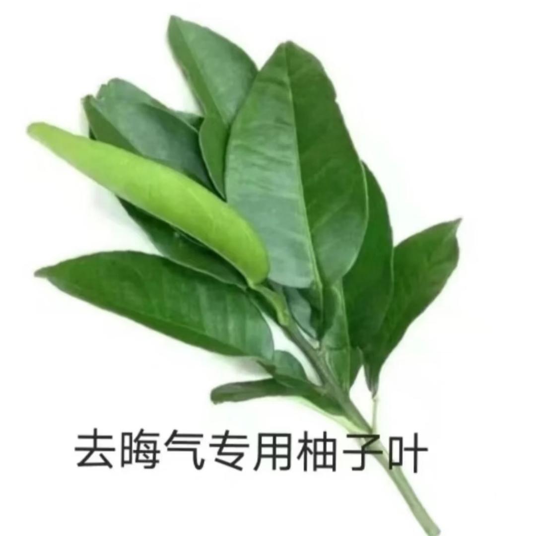 哈哈哈哈哈哈哈哈哈哈哈🤣