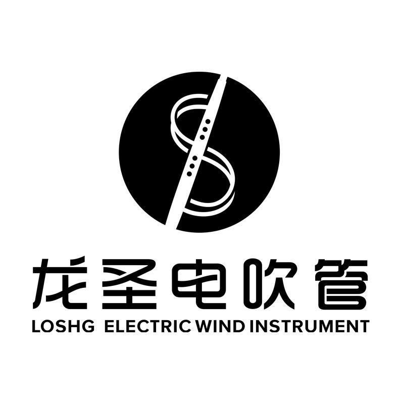 龙圣乐器专营店
