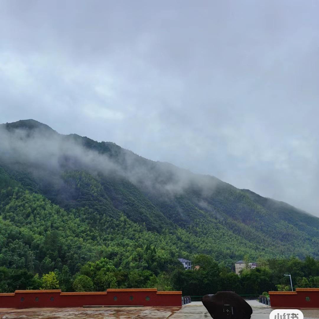 清云师兄