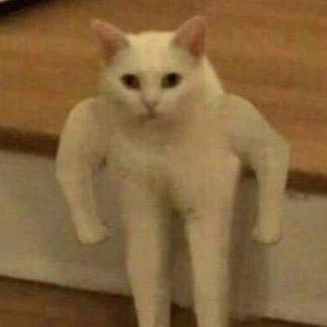 菜菜ᐡ•͈ ·̭ •͈ᐡ