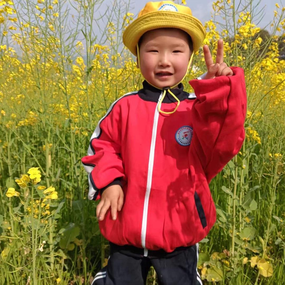 南风敏少，谭厨