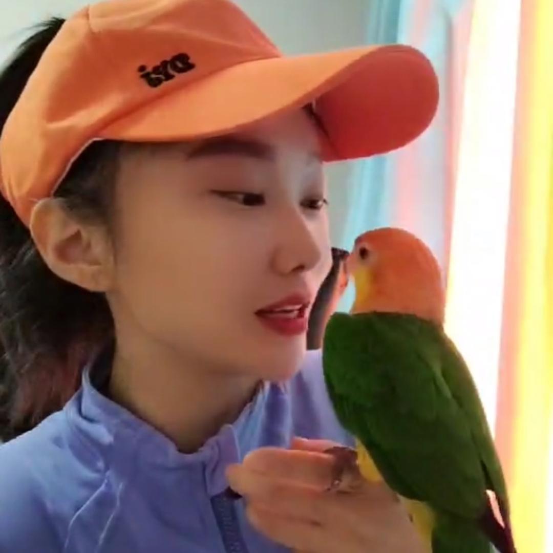 9妹