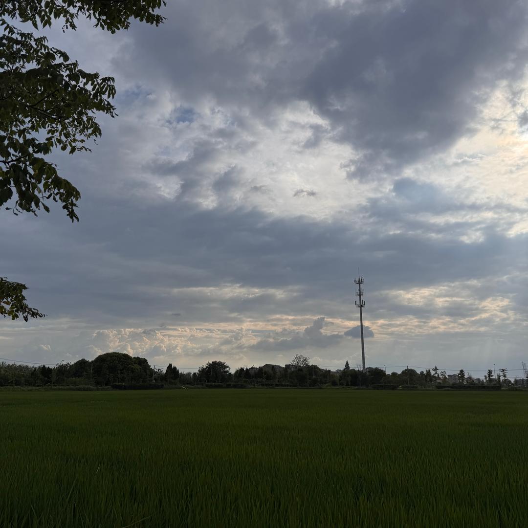 will讲出国