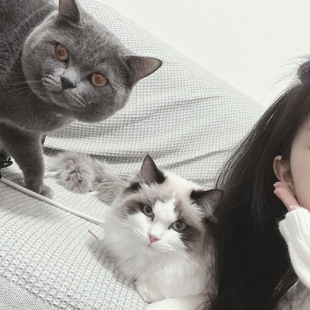 妍希