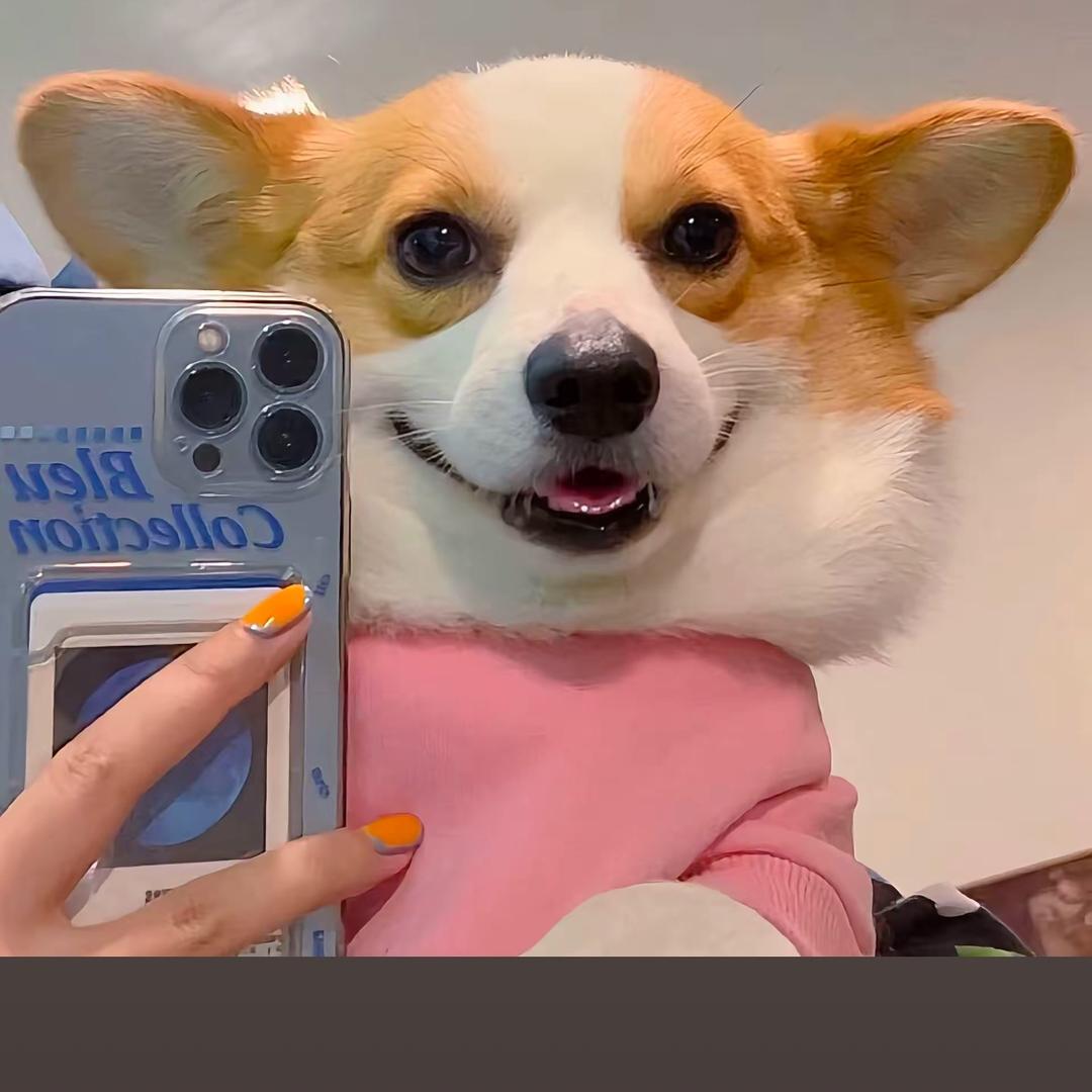 小胖墩的来时路🌙🌙