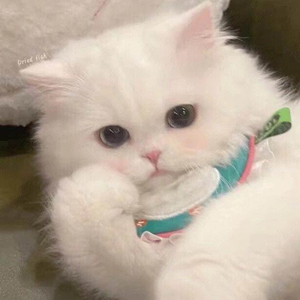小婉💞