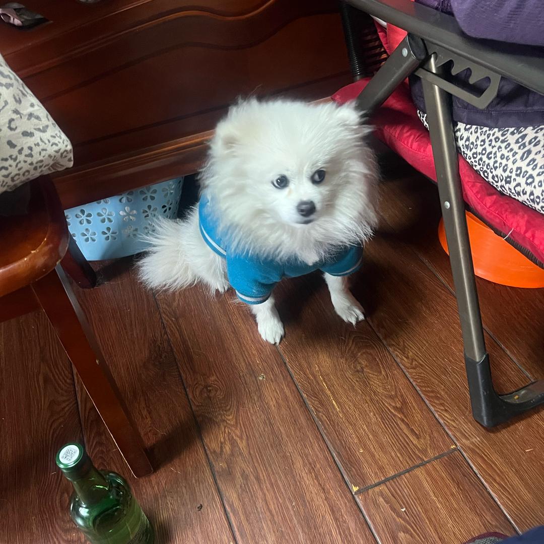 洗澡唱情歌