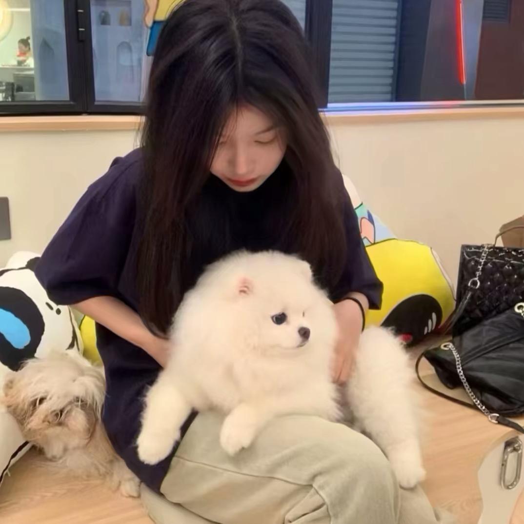 呆鱼