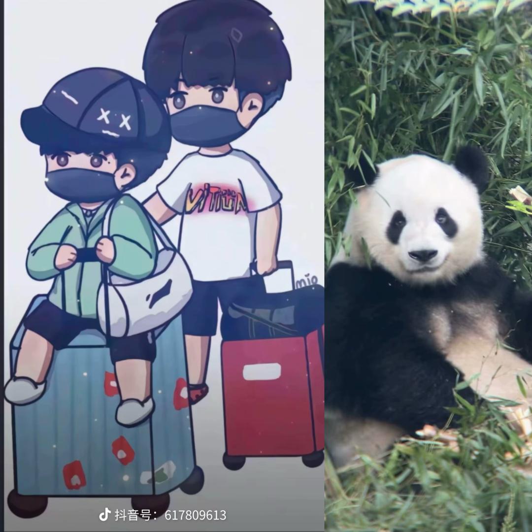 翁翁爱姐