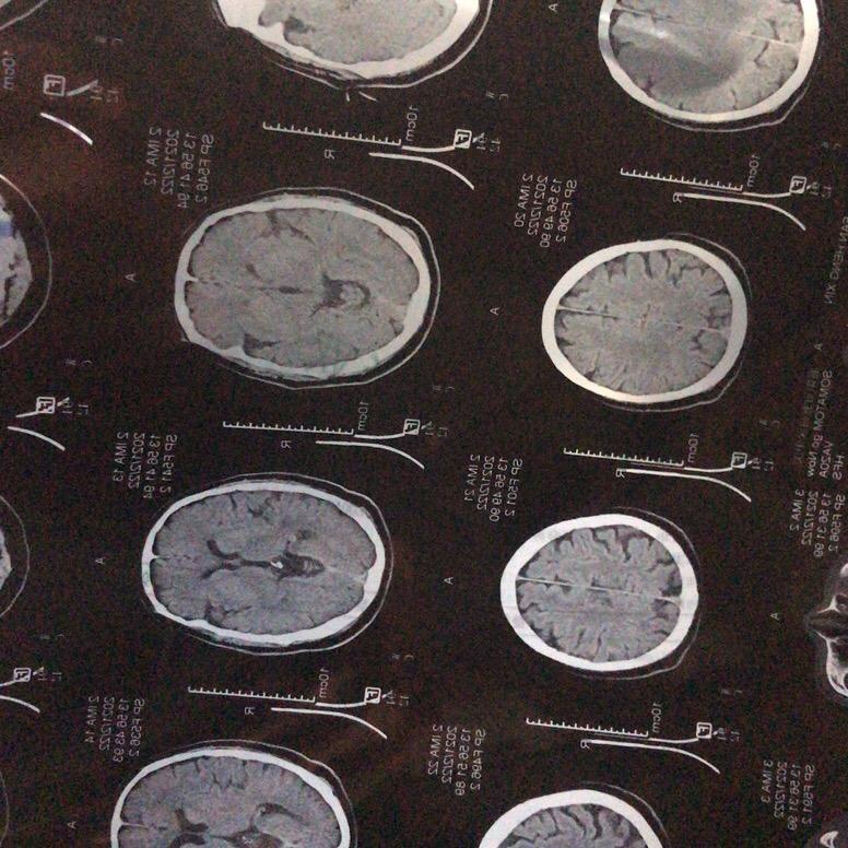 未来在我手中