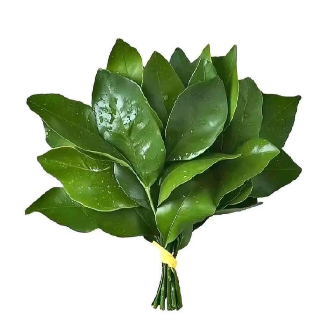 小粒粒