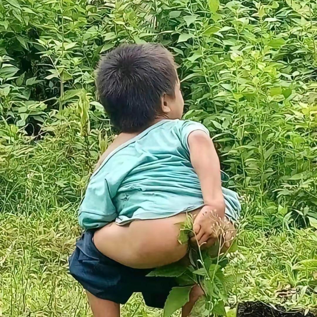 谋权上位