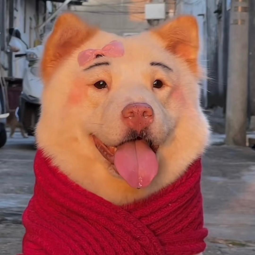 小敏不吃葱