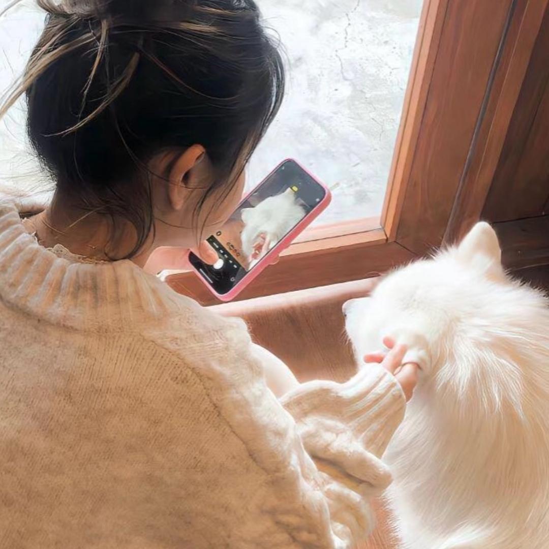 美哒兔🐰（直播爆款返场）