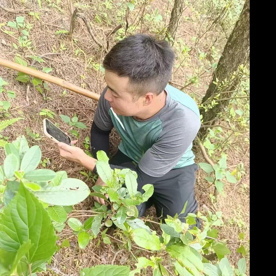 玉溪路遥二手车批发