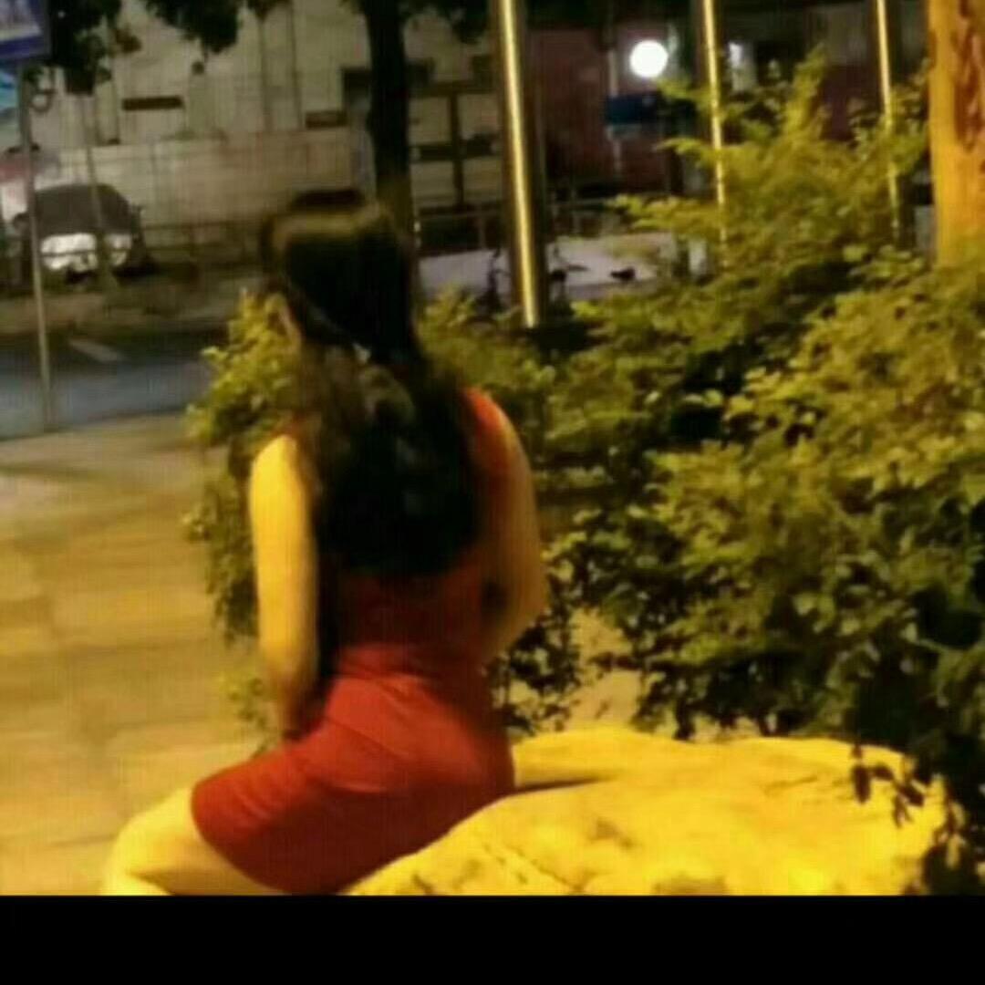 快乐的小鸟