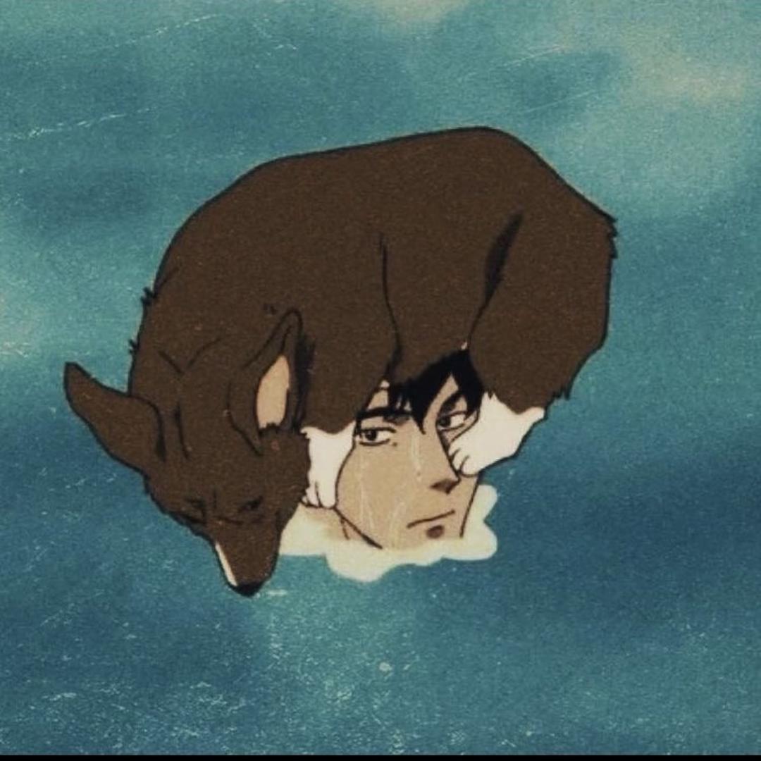 洗发露💨