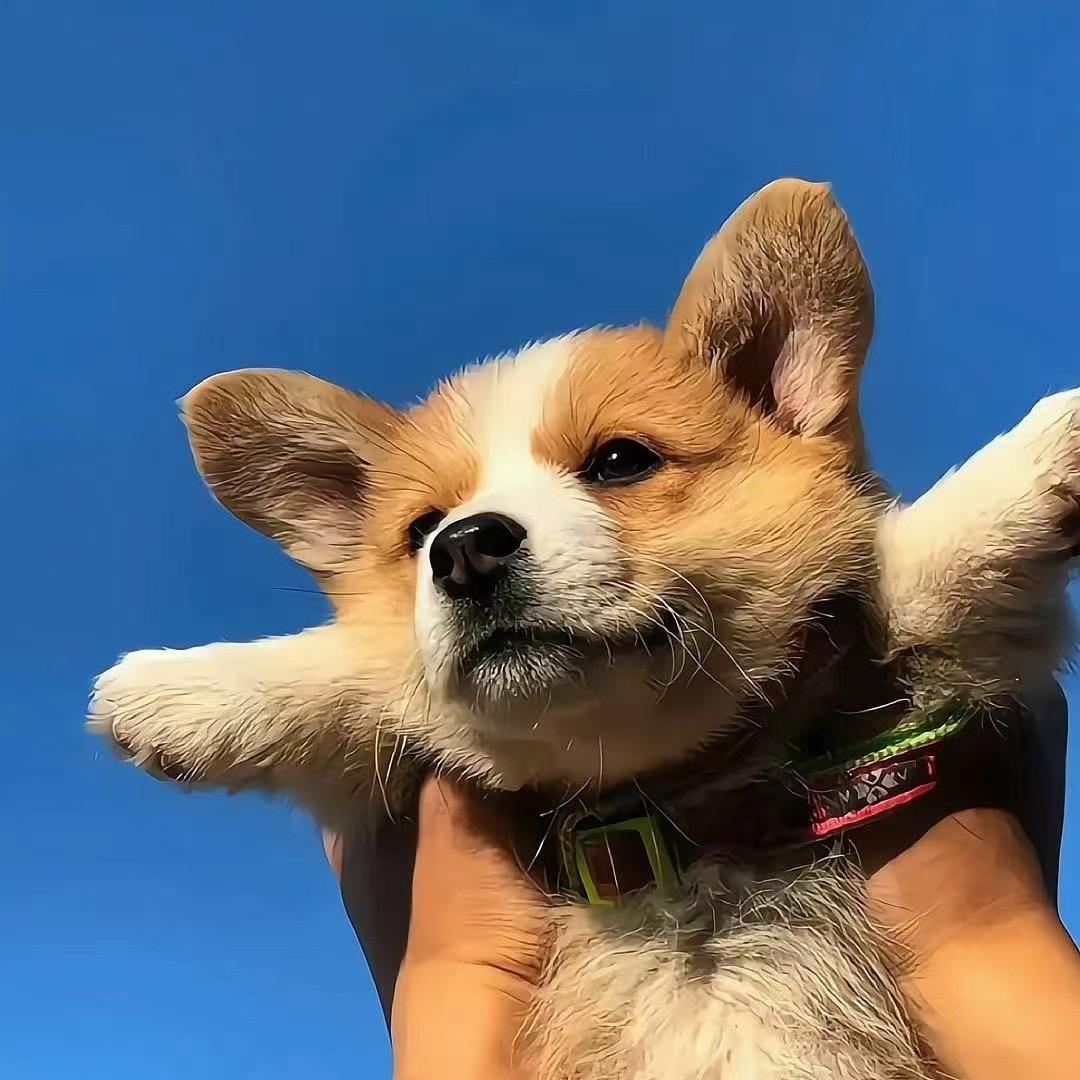 a.