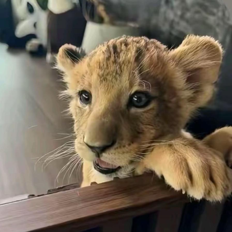 ☁️（减肥版）