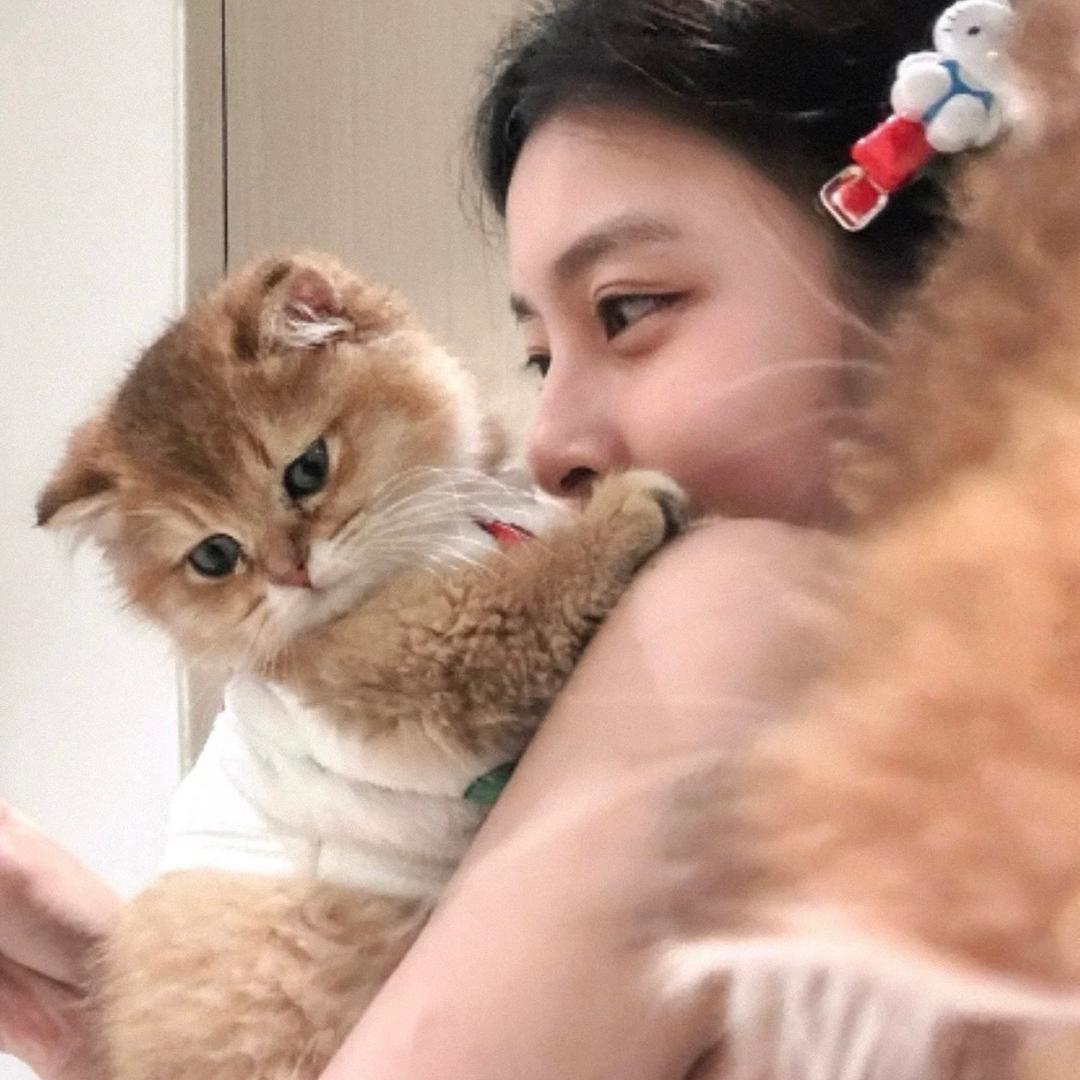 你看起来像笨蛋