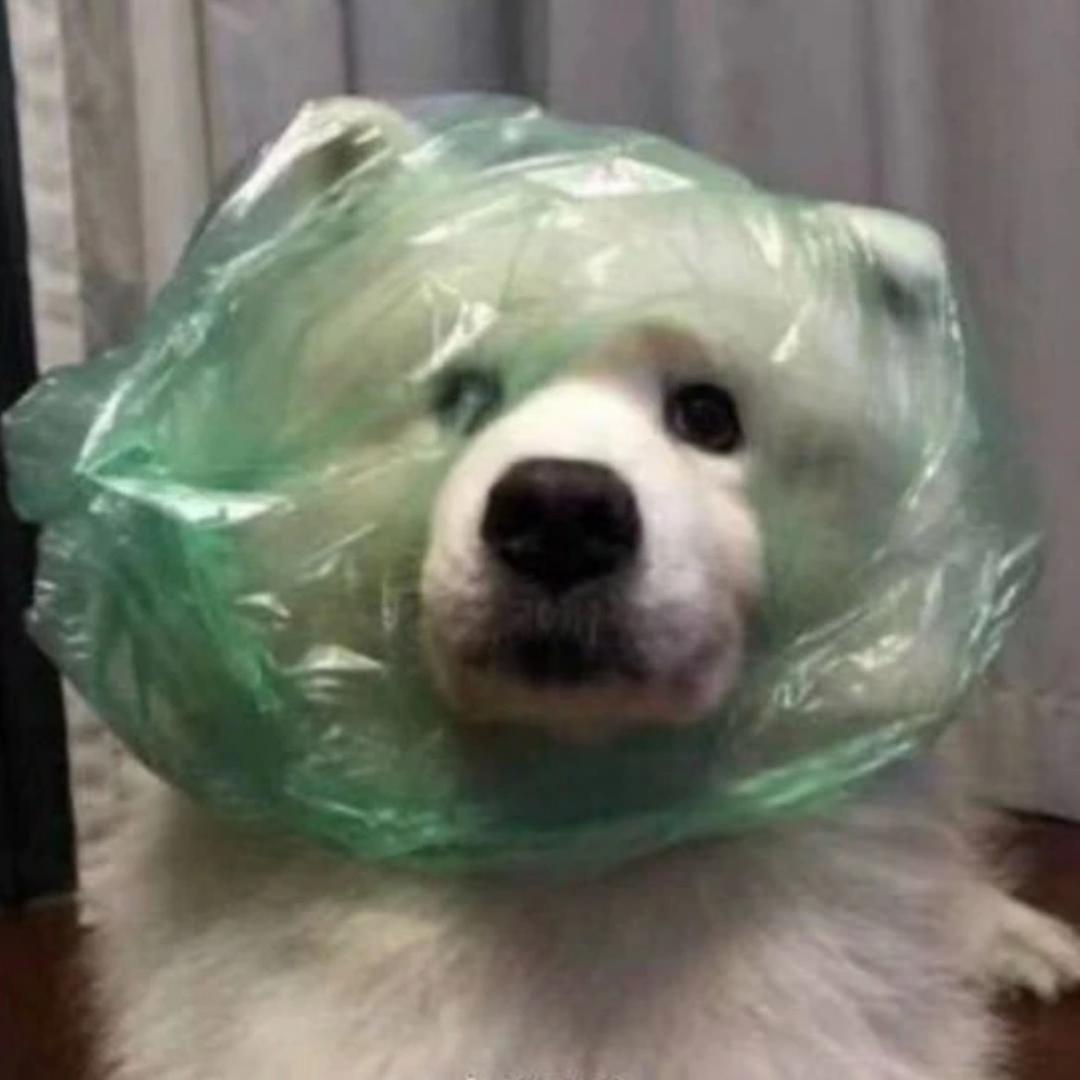 在深秋