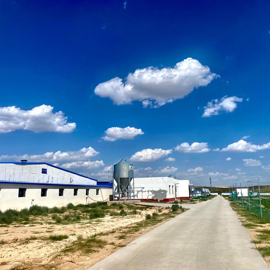 宁夏联华薛建章