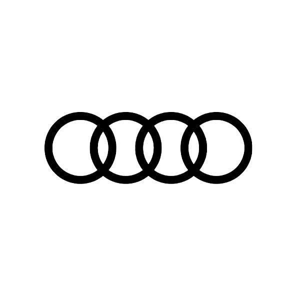 一汽奥迪深圳鹏峰奥星新能源